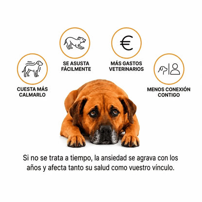 SerenPaw Masajeador Antiestres para Mascotas